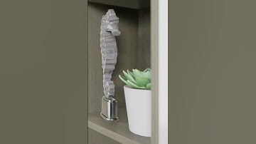 D5 Render: Walk-Through Animation of Residence