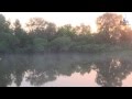 Видеоотчет с рыбалки. Река Десна, Выгоничи.
