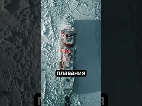 Путешествие по Замерзшим Морям: Как Работают Ледоколы 🚢❄️ #факты