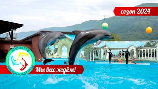 Абхазский Национальный Дельфинарий в Гаграх. Сезон 2024