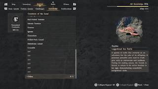 Knowledge: Loggerhead Sea Turtle (Reptiles) | Crimson Desert PS5