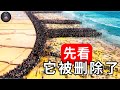 如果这些海滩瞬间没被拍下 没人会相信这惊悚真相 震撼纪录片 如果这些海滩瞬间没被拍下 没人会相信这惊悚真相 震撼纪录片