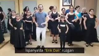ispanyada erik  dalı rüzgârı