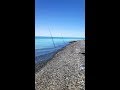 Супер рыбалка на сазанов на озере Алаколь (август 2019 г. часть 1)