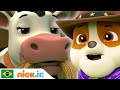 PAW Patrol | Vacas da rebelião | Nick Jr. em Português