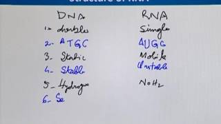 Topic 28 (BIF732 - Advanced Computing Approaches)