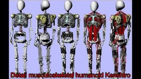 Robot Copies Your Muscles and Bones
