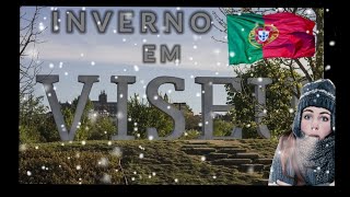 INVERNO em viseu Portugal- Será que as pessoas saem as ruas no inverno de viseu #canalviseuportugal