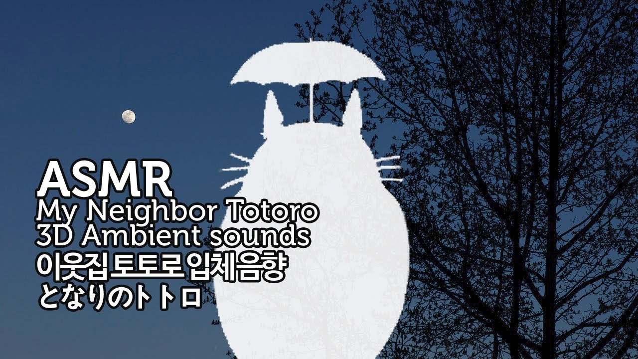 ASMR 이웃집 토토로 입체 음향 | My Neighbor Totoro 3D Ambient Sounds | 버스정류장과 밤의 오카리나 | となりのトトロ