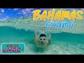 Vlog exumas bahamas 33  ressentis et conseils  lmdc20