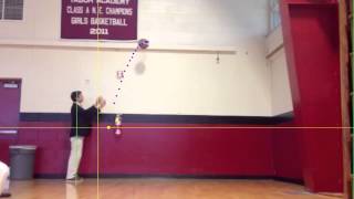 Physics Lab 3: Animated Display