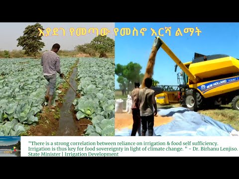 ቪዲዮ: ሰው ሰራሽ ቤንዚን፡ መግለጫ፣ ባህሪያት፣ አፈጻጸም፣ የምርት ዘዴዎች