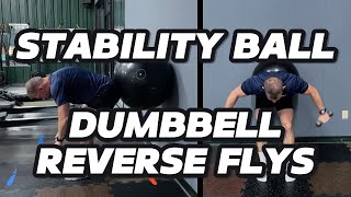 How To Do Stability Ball Dumbbell Reverse Flys | Beginner Shoulder Exercise