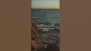 سورة الهمزة كاملة للقارئ الشيخ ماهر المعيقلي - قرءان كريم Quran