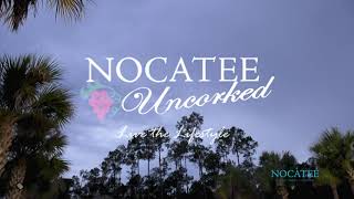 Nocatee Uncorked Wine Tasting October 2023!