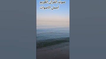 سوره النمل 🤲تلاوه خاشعة من القرآن الكريم بصوت جميل 😍اللهم اجعل القرآن ربيع قلوبنا ونور صدورنا 😍