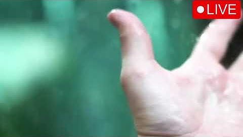 How to Make the Most of a Job Internship