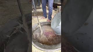 Biggest Making of Mutton Haleem in Hyderabad | Ramzan Special Food #shorts