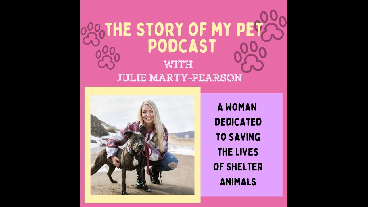 A Woman Dedicated to Saving the Lives of Shelter Animals | The Story of My Pet