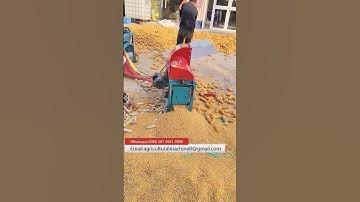 Electric Corn Threshing Machine Maize Sheller