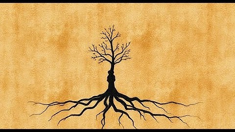 The Unseen Power of Self-Justification: How Your Brain Creates Its Own Reasons to Change