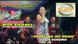 Download Lagu Singo Budoyo MP3 Singo Budoyo