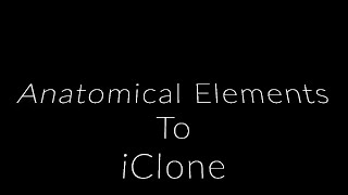DAZ Anatomical Elements to iClone 7(Hidden Feature in DAZ)