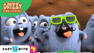 Grizzy and the Lemmings | The Filters | Cartoonito Africa Resimi