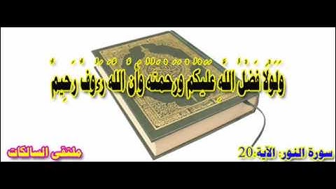 سورة النور الآية 20