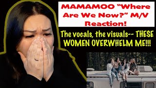 MAMAMOO COMEBACK!!! REACTION TO \