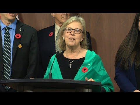Elizabeth May steps down as Green Party leader, interim replacement announced