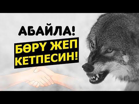 Video: Көзү ачыктык тагдырды кандайча өзгөртө алат