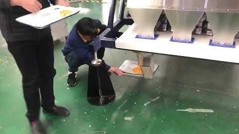 Sortdek A-Series model chick peas color sorting