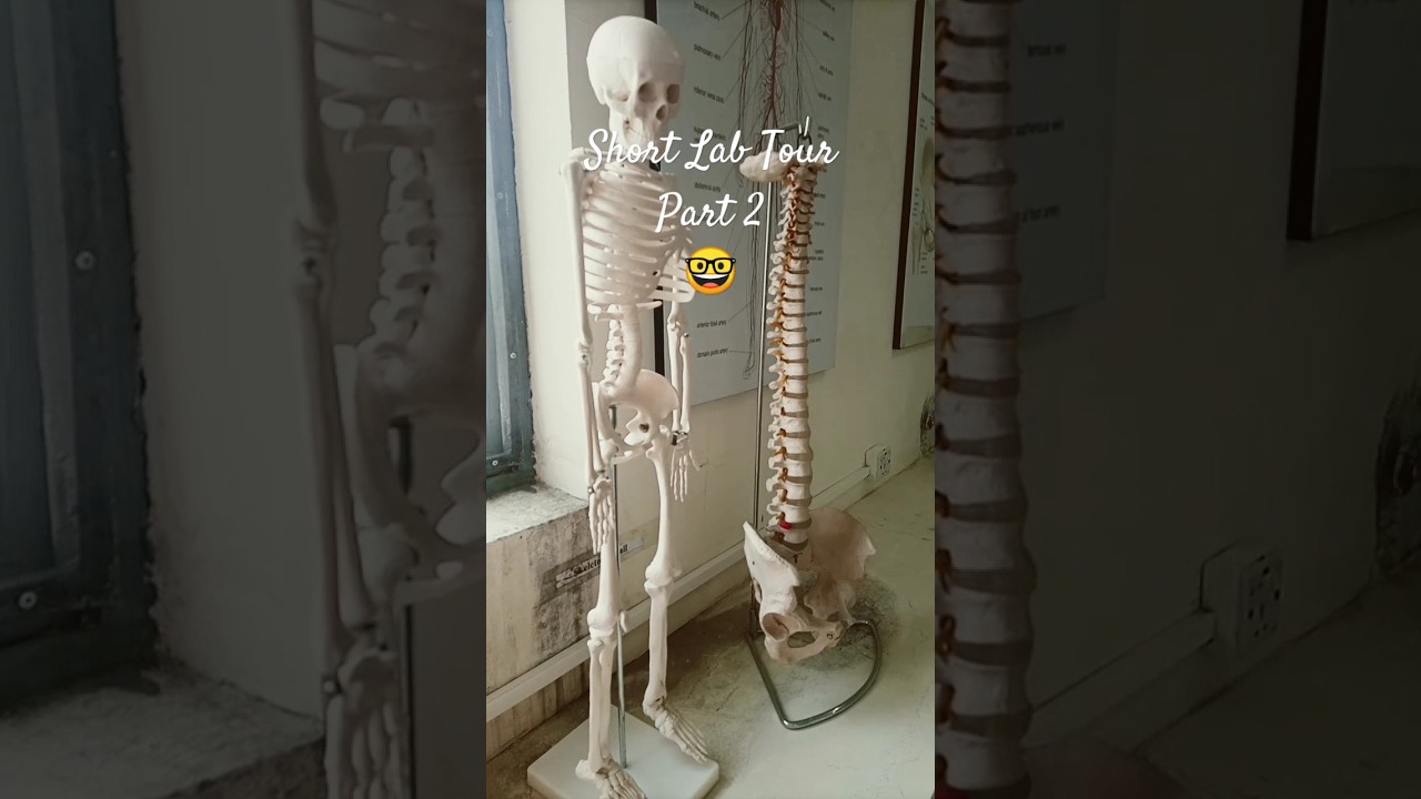 Mini Lab Tour Part 2🤓 