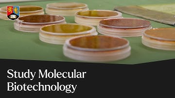Why study Molecular Biotechnology | University of Birmingham