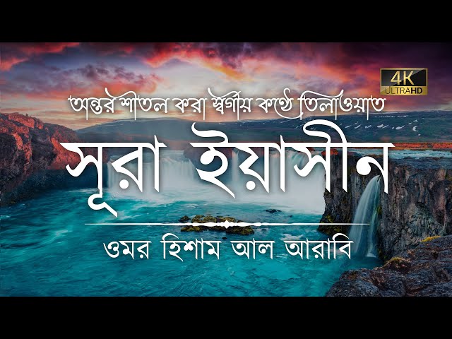 অন্তর শীতল করা কণ্ঠে সূরা ইয়াসীন ( سورة يس) ┇ Surah Yaseen Recited by Omar Hisham Al Arabi class=