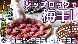 【ジップロックで梅干し】⑤少しずつ違う天日干し2日目・3日目〜南高梅１袋（1kg）を漬けてみた by あさりおん 437 views 8 months ago 5 minutes, 33 seconds