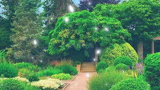 What Lies Beyond | Suika