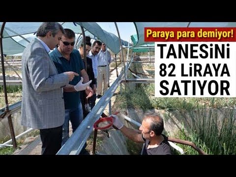 Video: Üretim olaylarını nasıl azaltabiliriz?