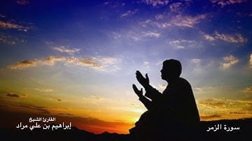 تلاوة قصيرة من سورة الزمر | إبراهيم بن علي مراد