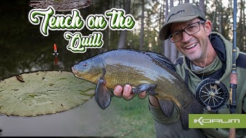 Tench On The Quill