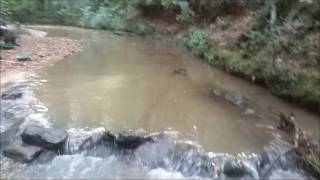 Georgia Gold Prospecting | A&M Mining (Guns, Gold... and Owls?!) May 2017