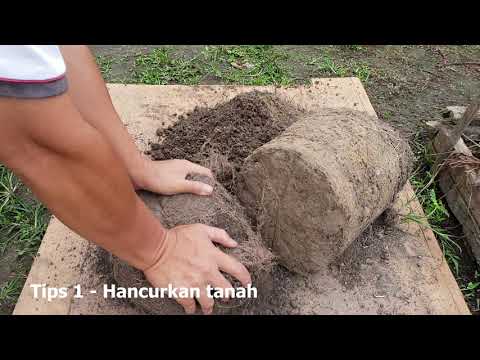 Video: Adakah kompos menjadikan tanah berasid?