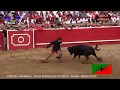 RESUMEN 2019  (11ª PARTE )   VACAS Y TOROS EN LOS PUEBLOS  ( CORTES-NAVARRA )