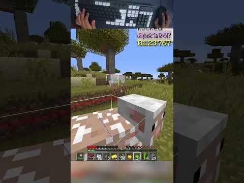 POV: The Meetup That Might Never Happen For Years