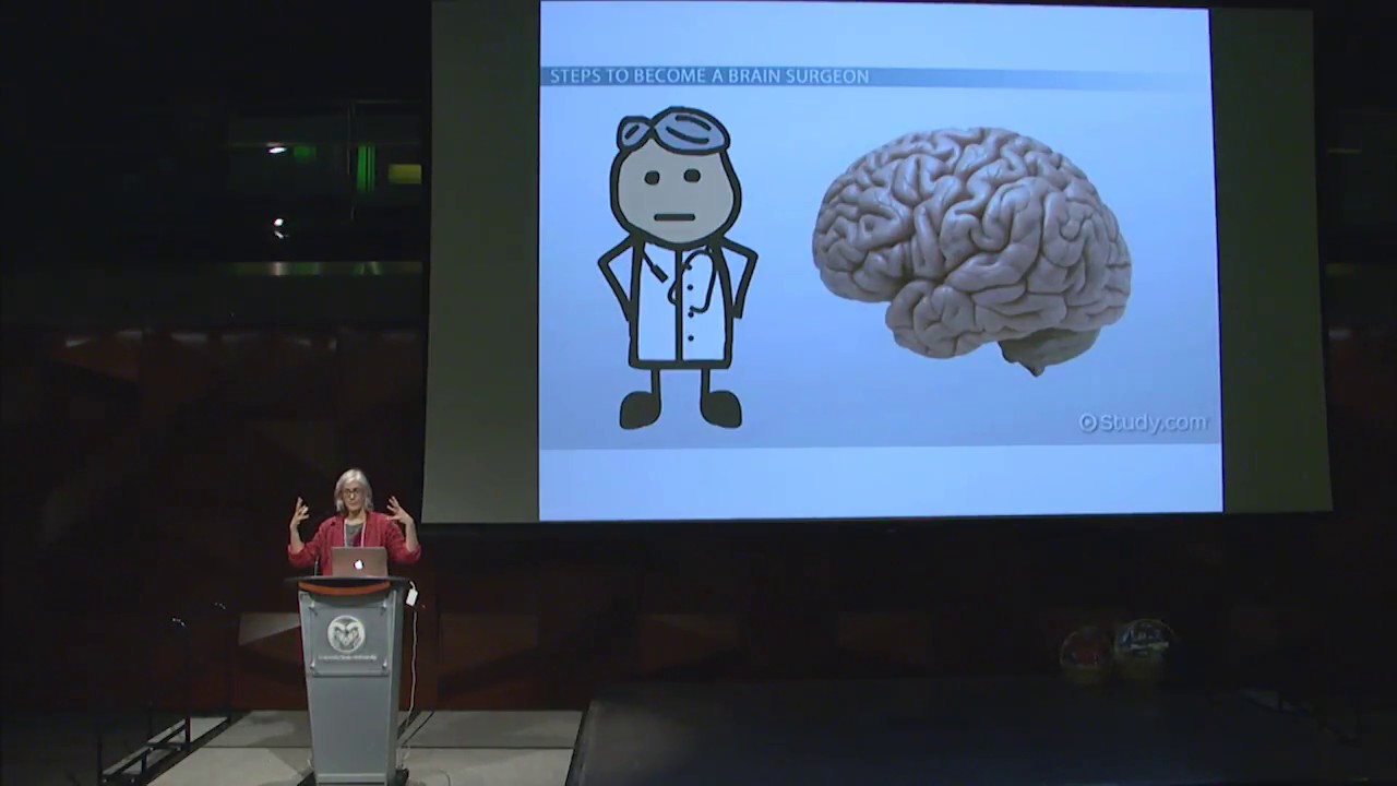 Women in Science: Dr. Megan Murray