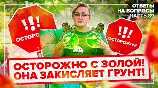 видео: ЗАЧЕМ ГАСИТЬ ЗОЛУ И МОЖНО ЛИ ВЫРАСТИТЬ КАРТОФЕЛЬ ИЗ ЧЕРЕНКА? ОТВЕТЫ НА ВОПРОСЫ СЕМЕНА АЛТАЯ картинка: ЗАЧЕМ ГАСИТЬ ЗОЛУ И МОЖНО ЛИ ВЫРАСТИТЬ КАРТОФЕЛЬ ИЗ ЧЕРЕНКА? ОТВЕТЫ НА ВОПРОСЫ СЕМЕНА АЛТАЯ