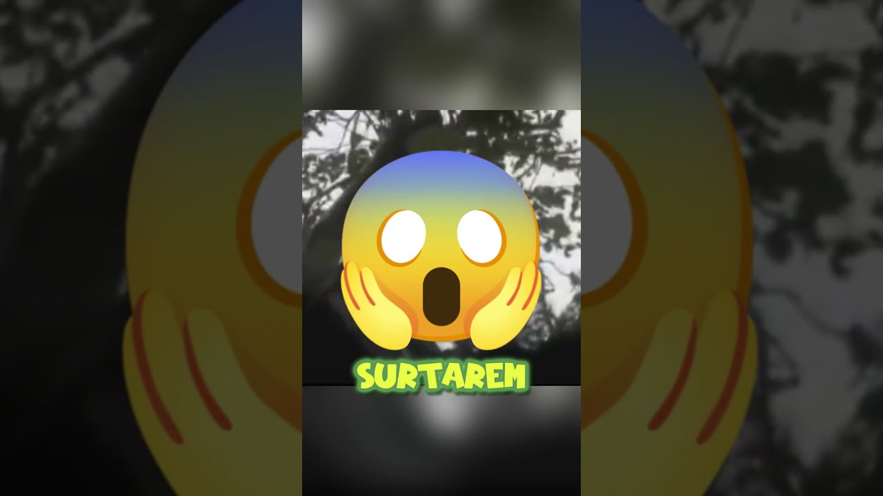 ATENÇÃO! A PROVA REAL QUE FADAS EXISTEM! PT.1 🧚‍♀️🤩 