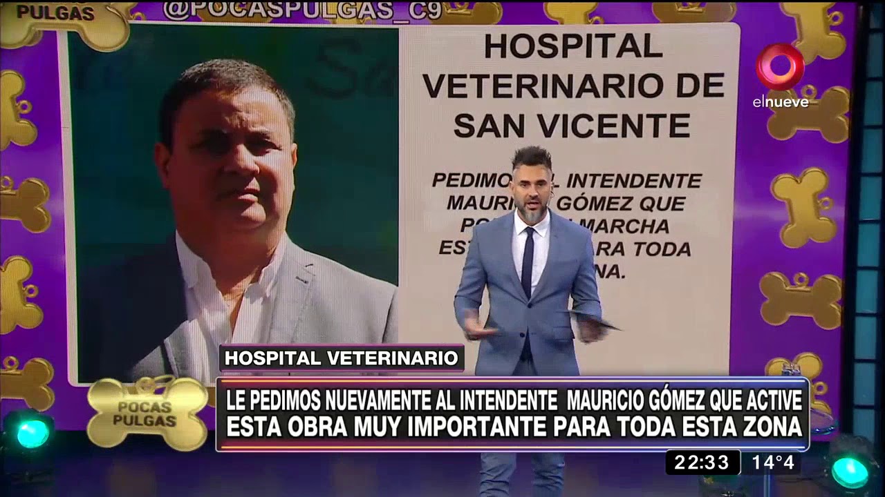 Pocas Pulgas: mirá lo que pasó con Zika camera iphone 8 plus apk