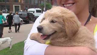 Cleveland APL brings its mobile adoption unit to the Justice Center in Cleveland